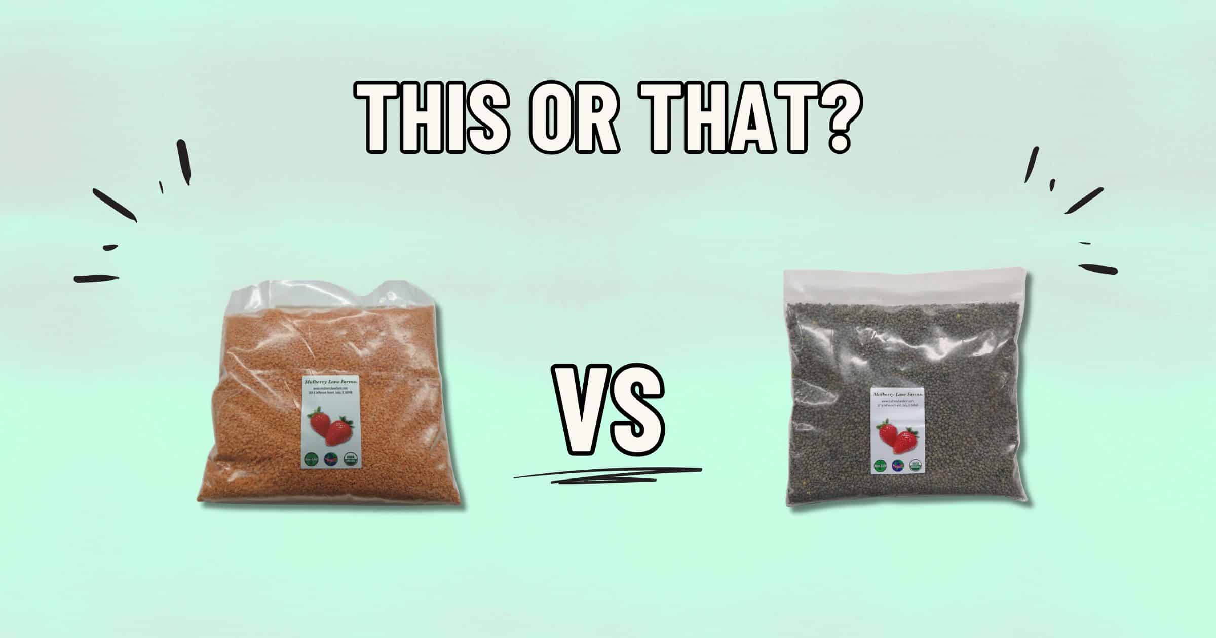 An image depicting two bags of lentils side by side with the text "THIS OR THAT?" above them and "VS" between them. The bag on the left contains red lentils, while the bag on the right contains green lentils.