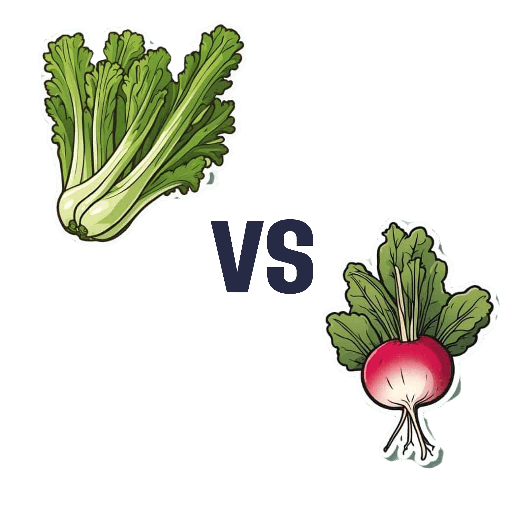 celery-vs-radish-which-is-healthier-10almonds