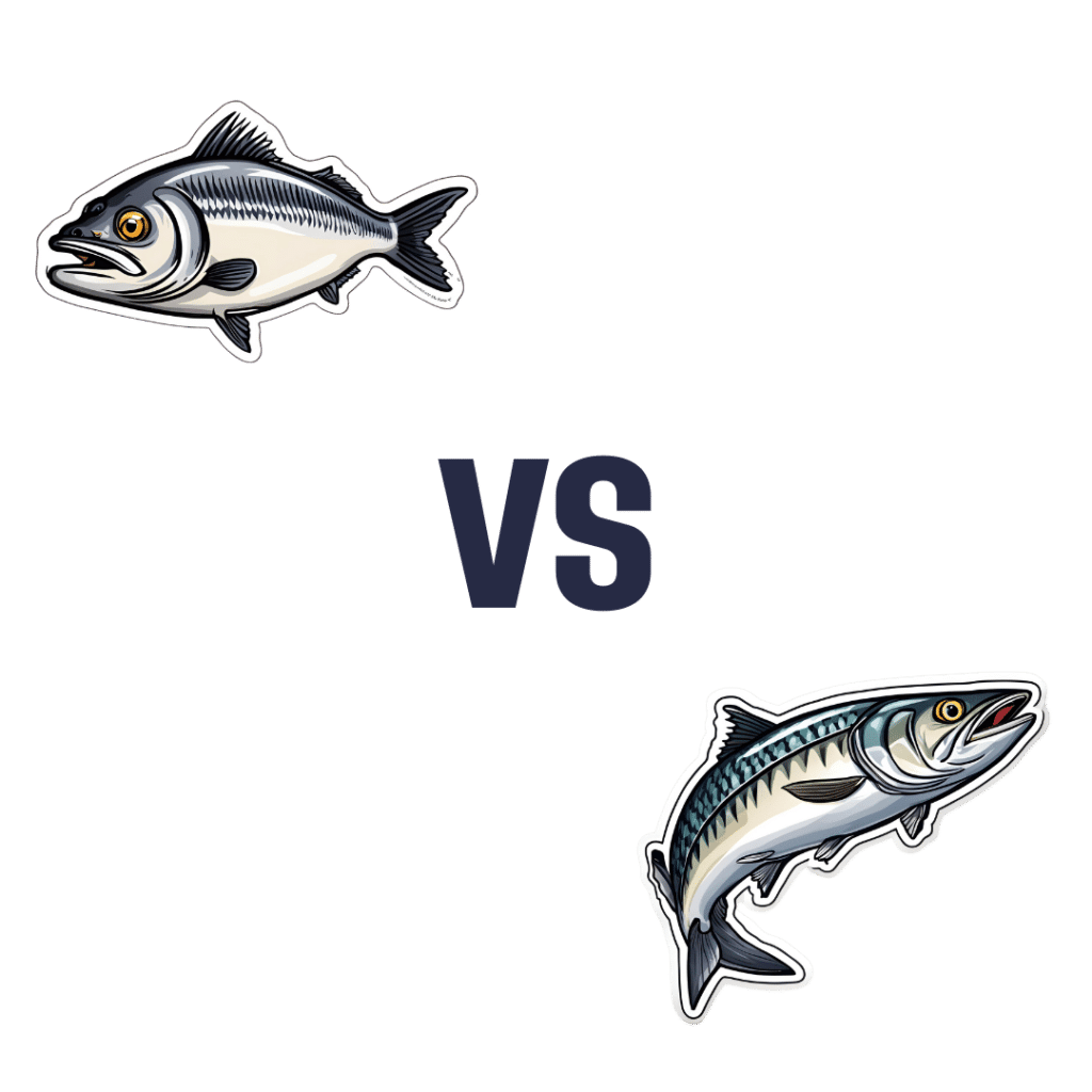 Herring vs Sardines – Which is Healthier? | 10almonds