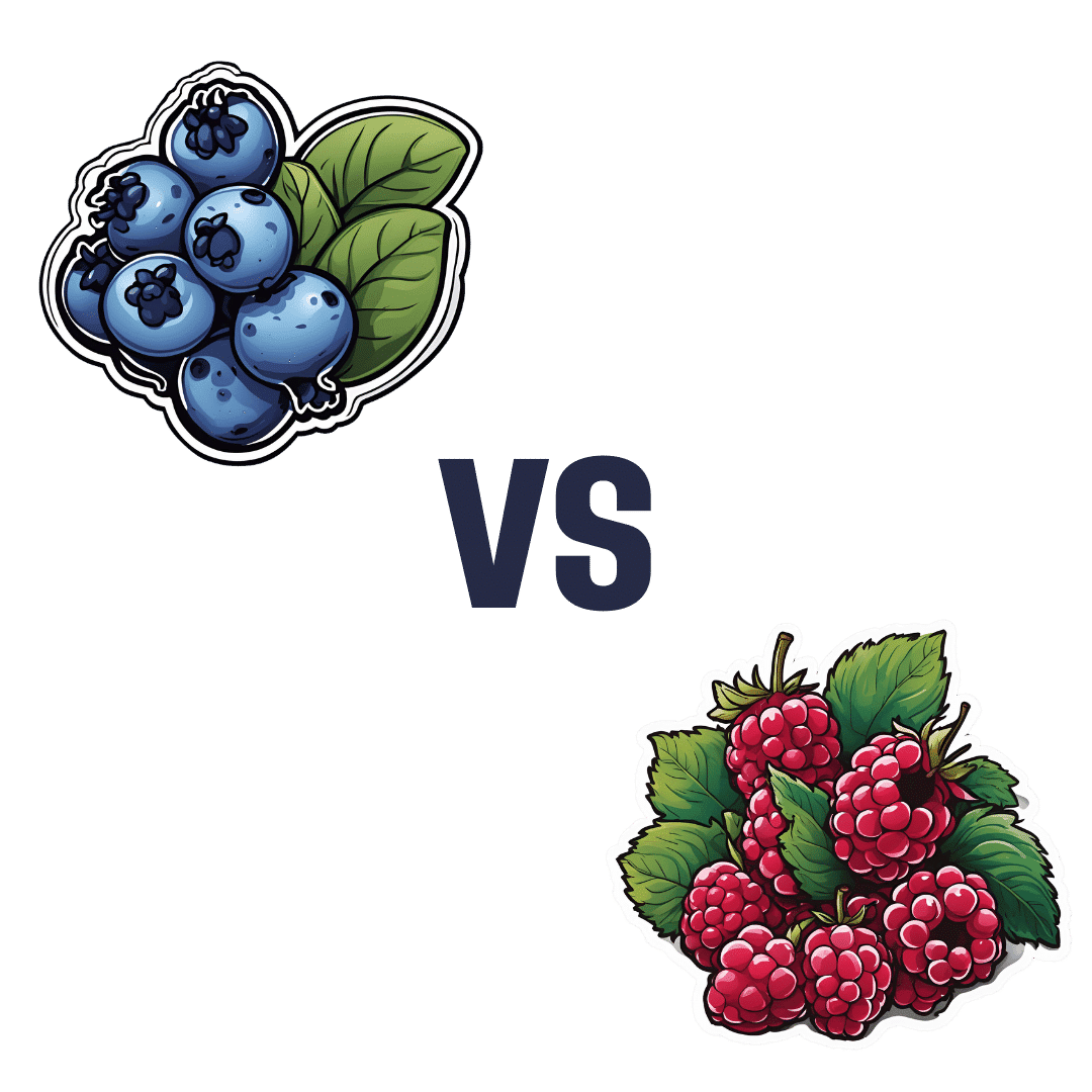 Blueberries vs Raspberries – Which is Healthier? | 10almonds